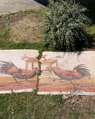 Mosaico Galli