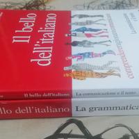 Il bello dell'italiano. Testo scuole superiori