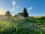 Immagine 19