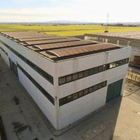 Capannone Industriale Ospedaletto