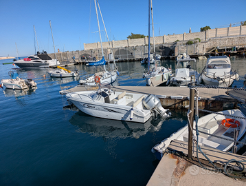 Barca natante saver 615 walkaround