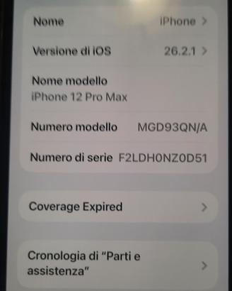  telefono 12 Pro Max usato 