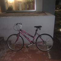 Bicicletta