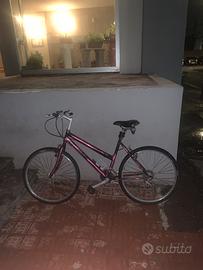 Bicicletta