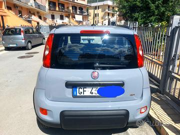 Panda 900 Twinair 2021