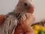 Immagine 1
