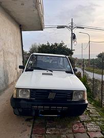 PANDA 900 i.e Cat Young del 2002