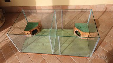 Terrario in vetro per tartarughe o piccoli rettili