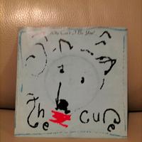 45 giri Cure Why can't i be you 