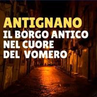 F313e5, vomero centro