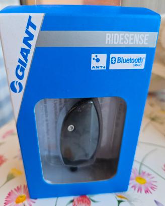 Ridesense Giant