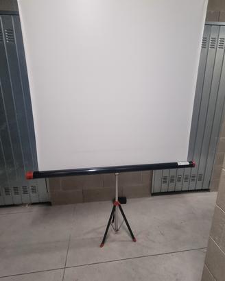 Schermo di proiezione avvolgibile