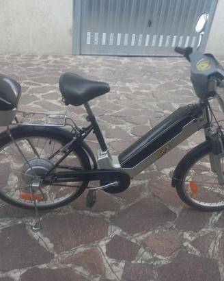Bici assistita