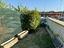 Immagine 19