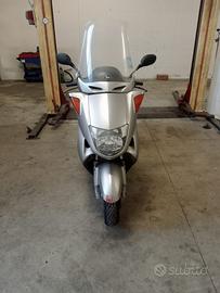 Honda foreseight 250