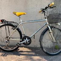 Mountainbike “26”