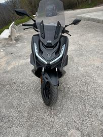Woge 300