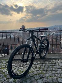 Rochrider st 530 Whelie bike