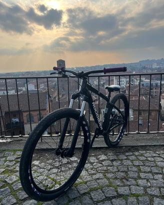 Rochrider st 530 Whelie bike