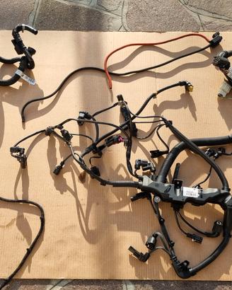 Cablaggio Completo Motore BMW N47D20C