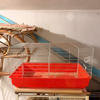 Gabbia  per coniglio