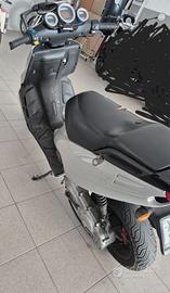 Scoter