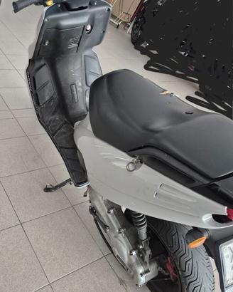 Scoter
