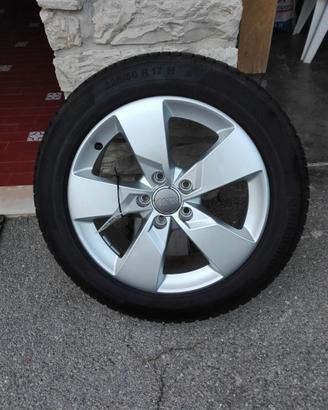 CERCHI IN LEGA AUDI