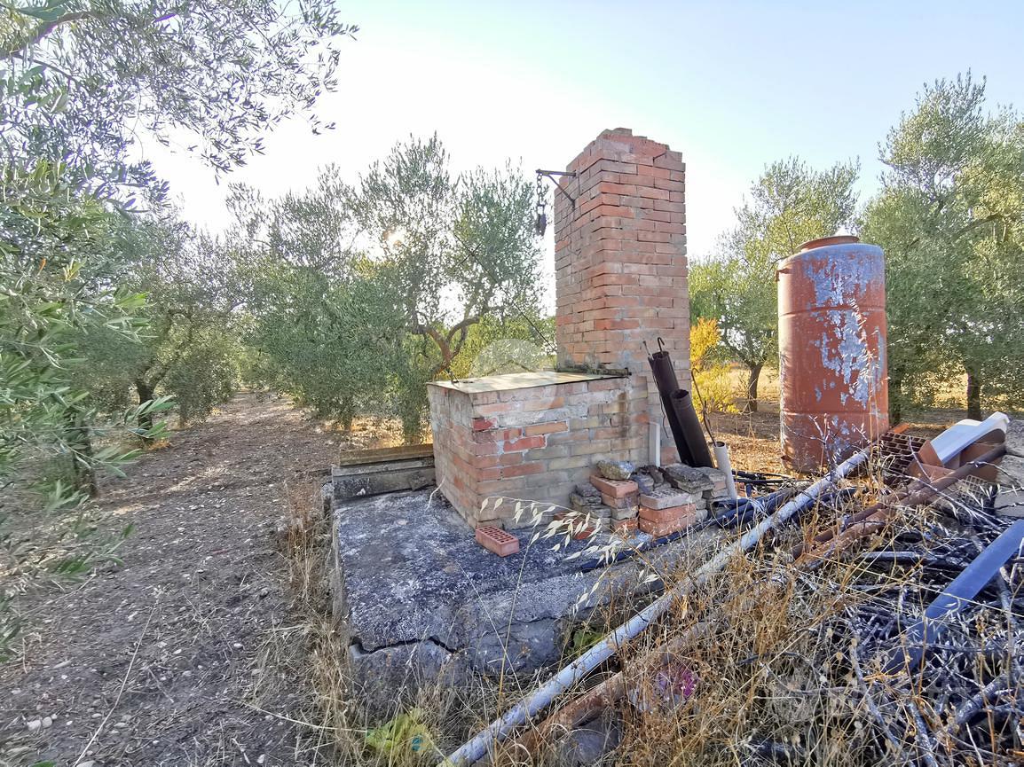 TER. AGRICOLO A LUCERA - Vista 5