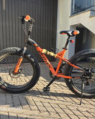 fat bike