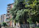 3-locali-a-bologna