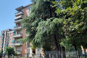 3 LOCALI A BOLOGNA