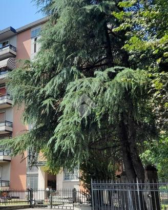 3 LOCALI A BOLOGNA