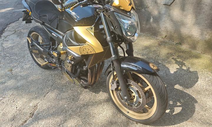 Yamaha XJ 600 - 2013