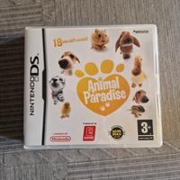 Gioco per Nintendo DS 