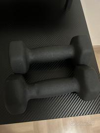 Coppia di Manubri da Palestra 2 kg (Totale 4 kg)
