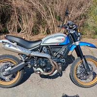 ducati scrambler desert sled 