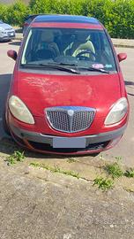 Lancia musa