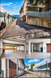 Capannone (Deposito ,Magazzino ,Produzione)