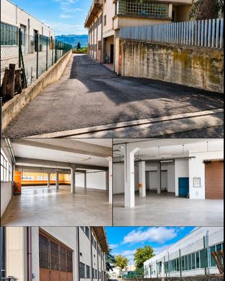 Capannone (Deposito ,Magazzino ,Produzione)