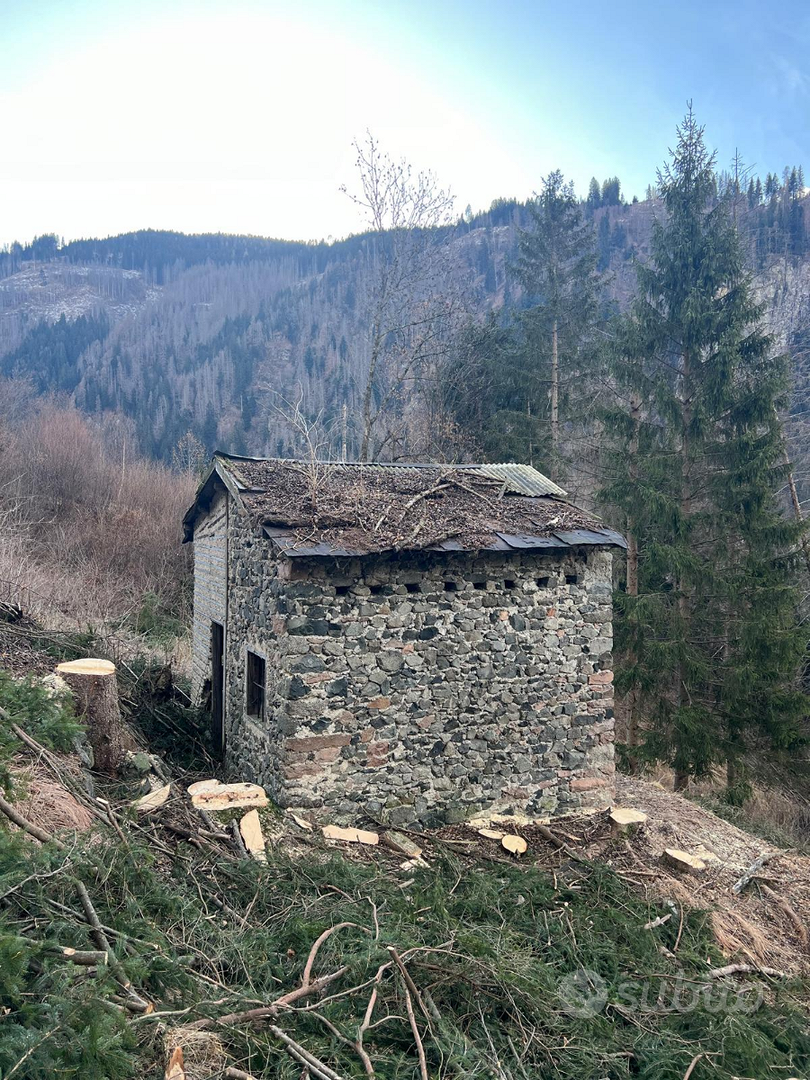 Terreno e rustico in val di Fiemme - Vista 2