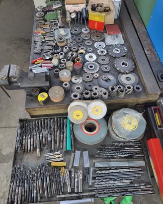 Vasto assortimento di frese e punte