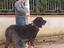 Immagine 4