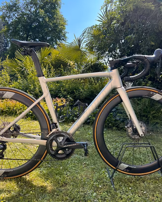 Specialized Allez Sprint 2024 TG54
