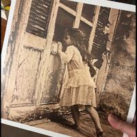 Vinile 33 nuovo Violent Femmes