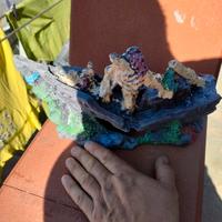 accessori per acquario 