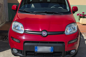 Fiat PANDA 1.3 MTJ 4X4 usata seminuova