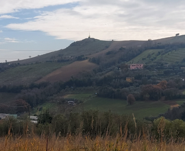 Terreno edificabile 7.000 mq a San Benedetto del T