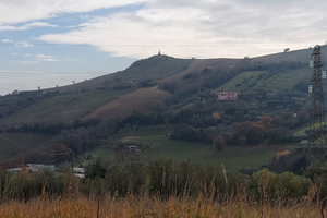 Terreno edificabile 7.000 mq a San Benedetto del T