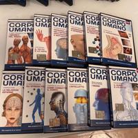 Enciclopedia del corpo umano 33 DVD